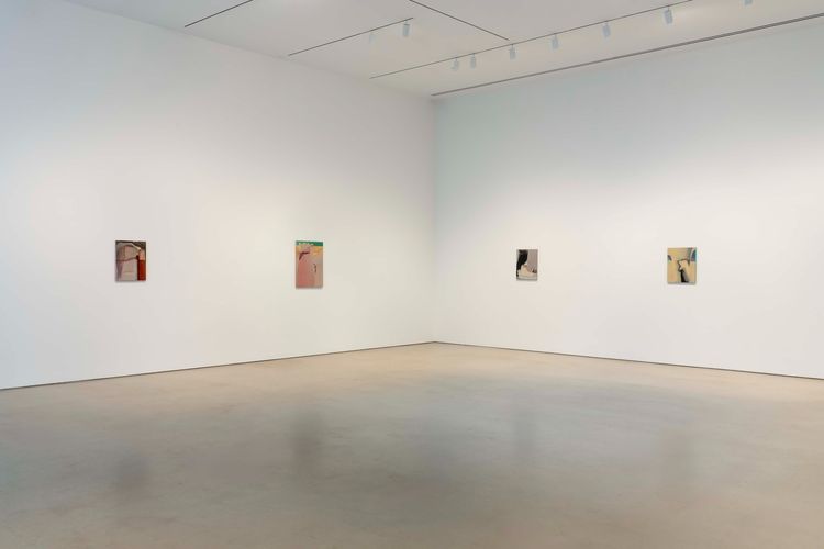 Installation view, Premonitions, Petzel Gallery · 2025 (5)