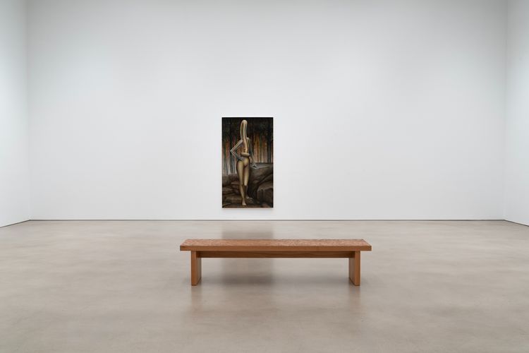Installation view, Transit of Venus, Petzel Gallery · 2026 (3)