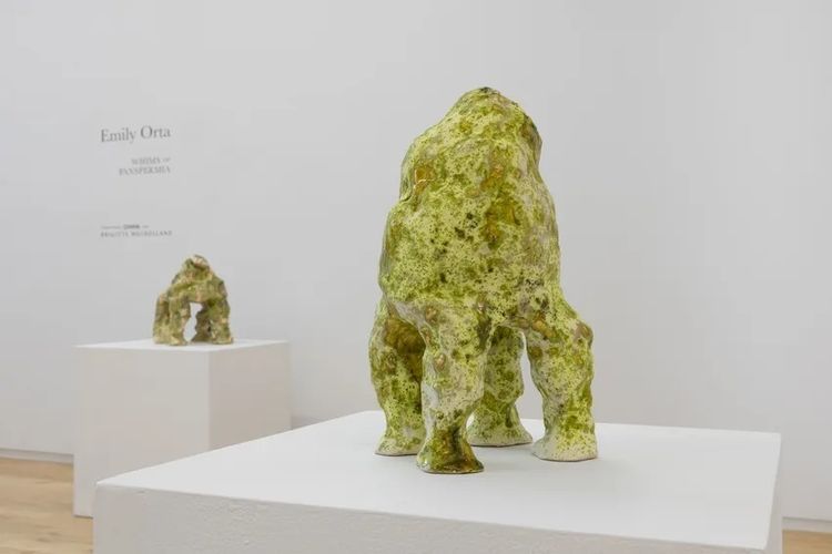Installation view, Whims of Panspermia, DIMIN · 2026 (5)