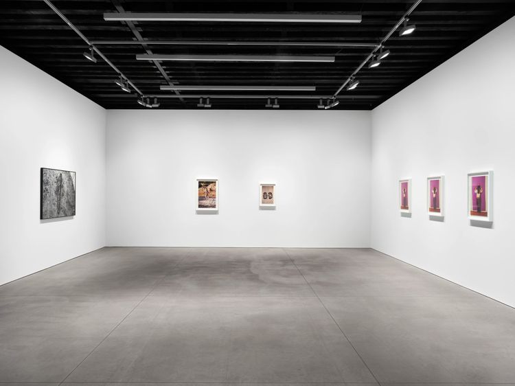 Installation view, Back to the Source, Marian Goodman, New York · 2025 (3)