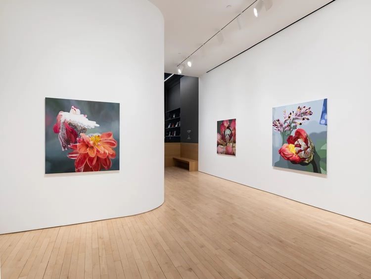 Installation view, From root to rain, Jane Lombard Gallery · 2026 (3)