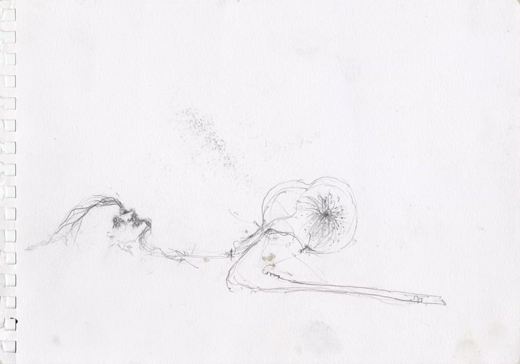 Installation view, Works on Paper: 1995–2026, VeneKlasen · 2026 (29)