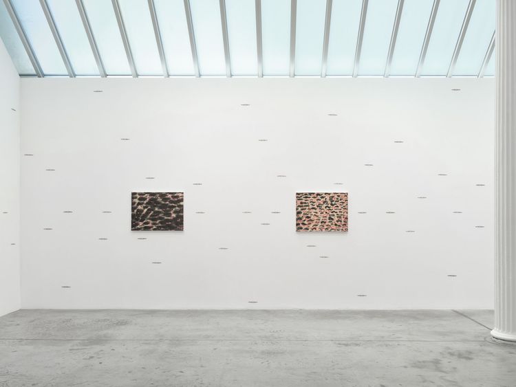 Installation view, When the Sky Merges with the Earth, Bortolami, 39 Walker · 2026 (15)