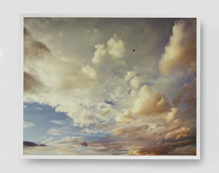Installation view, Cardinals, Pace · 2025 (3)