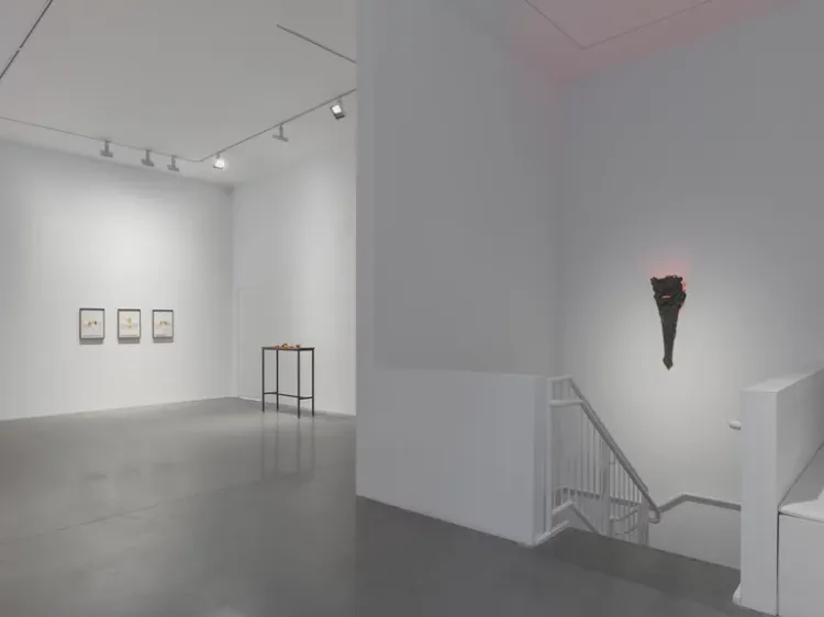 Installation view, Last Watch Before Dawn, Almine Rech, Tribeca · 2026 (9)