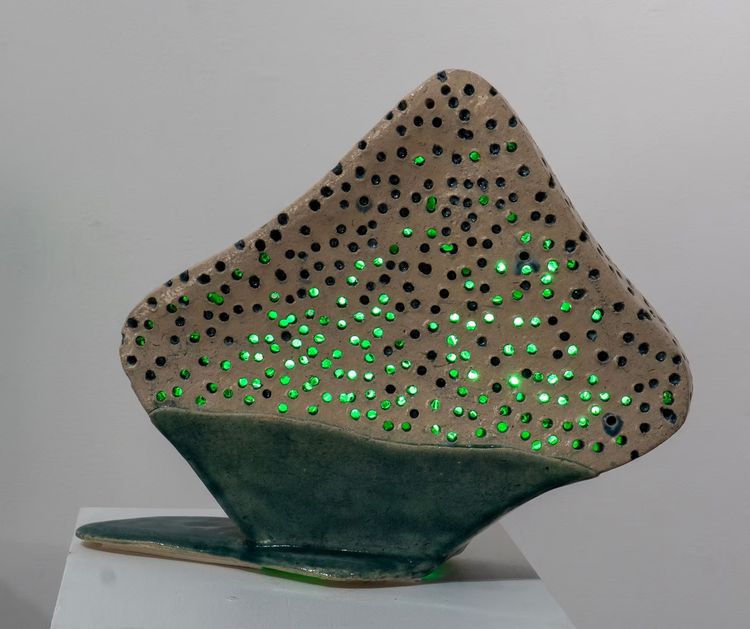 Installation view, Temporal Being: Nature vs. Human, Shatto Gallery · 2026 (13)