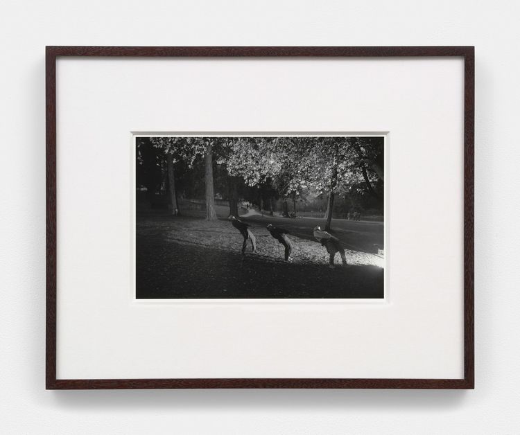 Installation view, Bones in the Canal and Other Photographs, David Kordansky Gallery, Chelsea · 2026 (28)