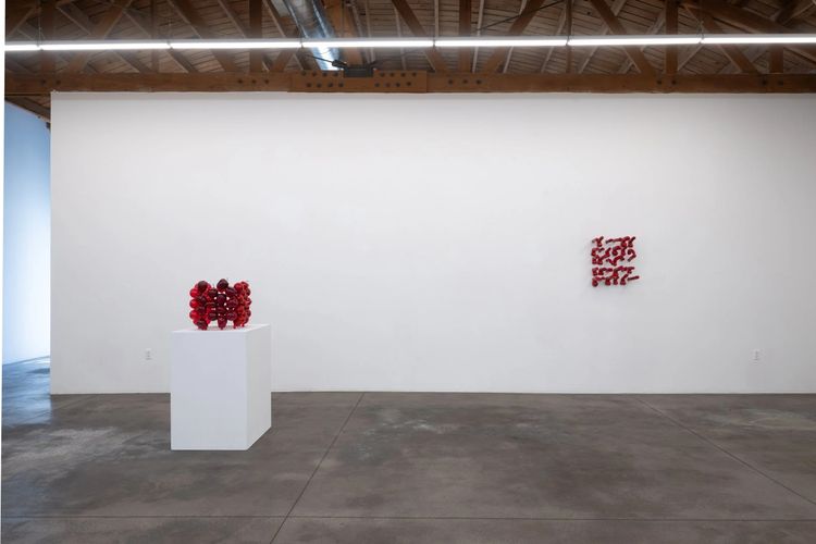 Installation view, Cockeyed, Shoshana Wayne Gallery · 2026 (4)
