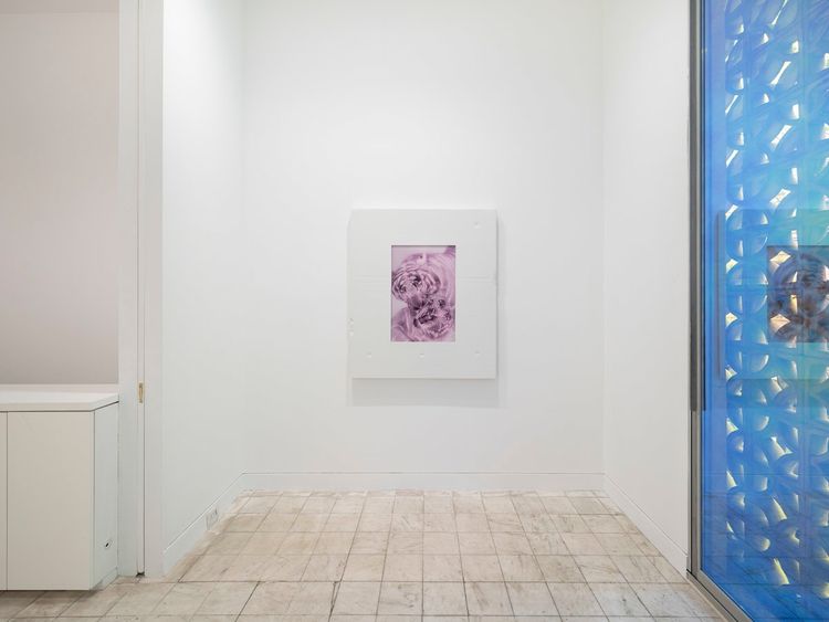 Installation view, Beast in Both Palms, Gladstone Gallery, 130 E 64th Street · 2026 (7)