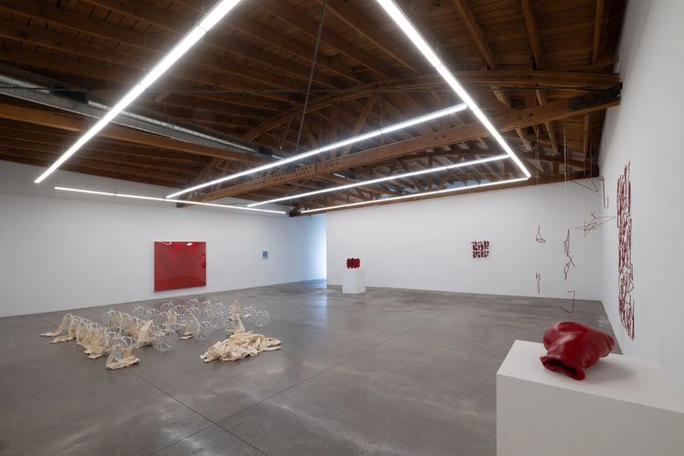 Installation view, Cockeyed, Shoshana Wayne Gallery · 2026 (1)