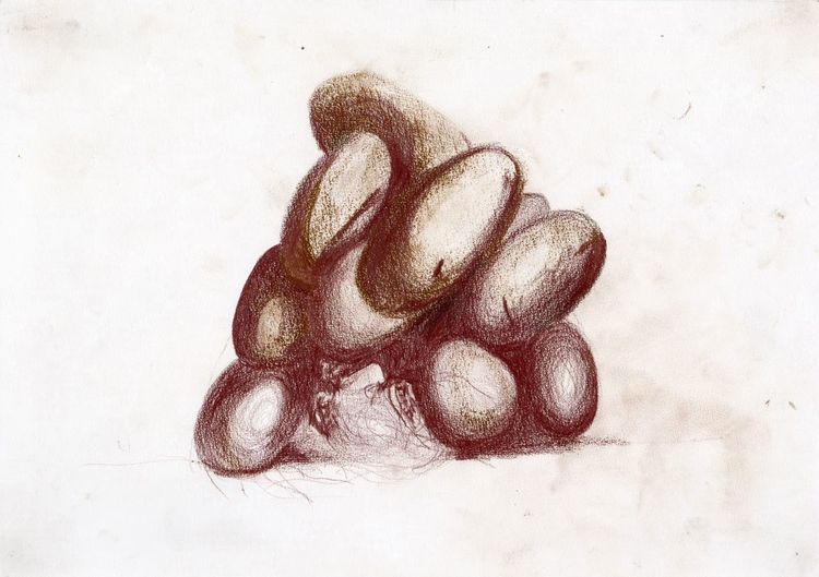 Installation view, Works on Paper: 1995–2026, VeneKlasen · 2026 (34)