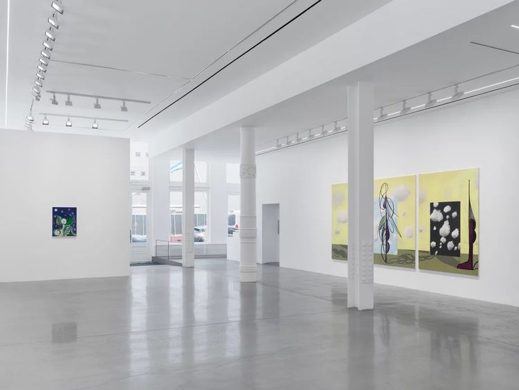 Installation view, Metamorphosis, Almine Rech, Tribeca · 2026 (2)