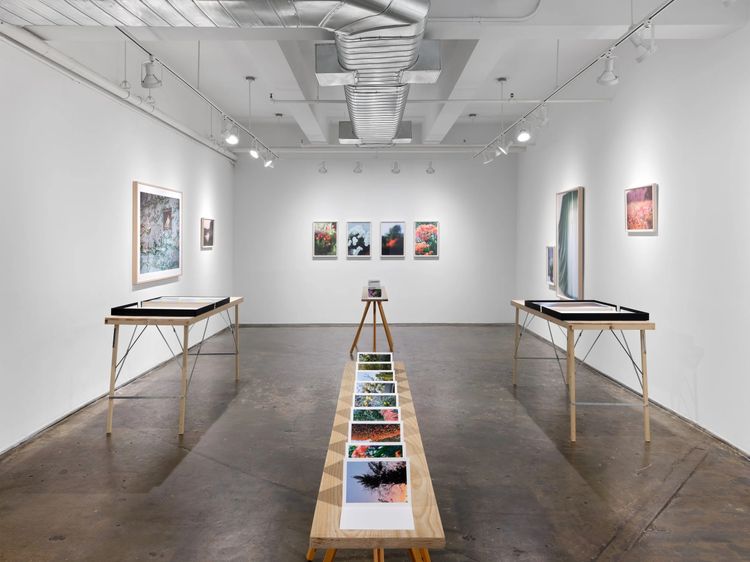 Installation view, Once Again I Fall Into My Feminine Ways, AIR · 2025 (2)
