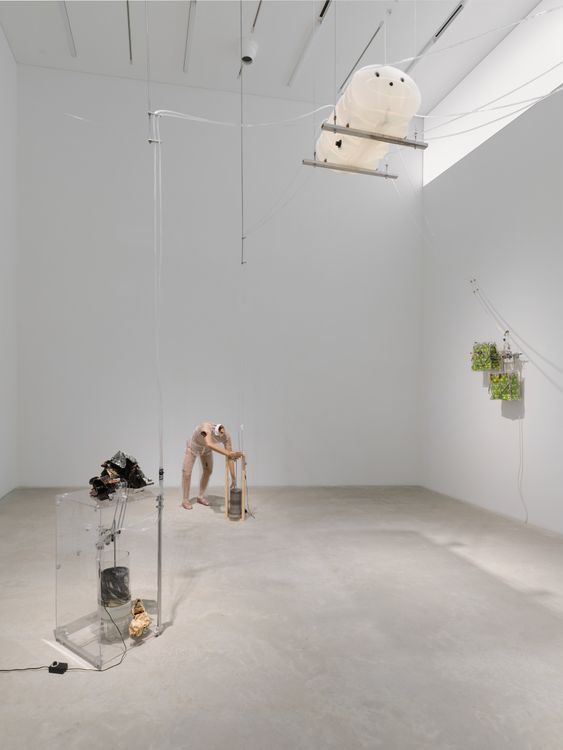 Installation view, Puddles into Pond, Amant · 2026 (3)