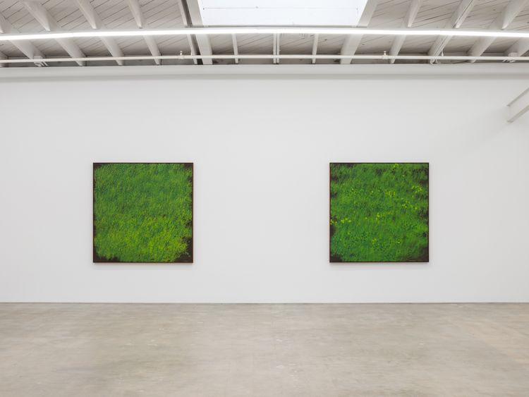 Installation view, Calvin Marcus, Karma Gallery · 2025 (2)