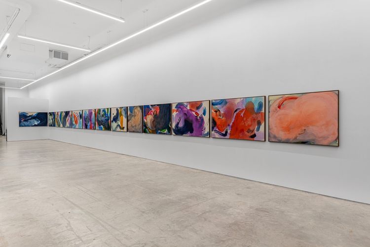 Installation view, Penumbra, Anat Ebgi · 2025 (11)