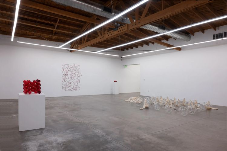 Installation view, Cockeyed, Shoshana Wayne Gallery · 2026 (7)