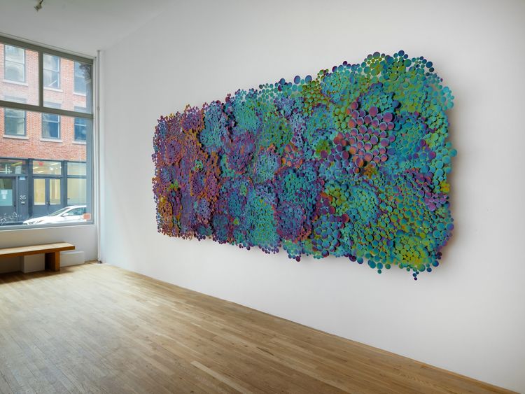 Installation view, Deep Field, Derek Elller · 2026 (6)