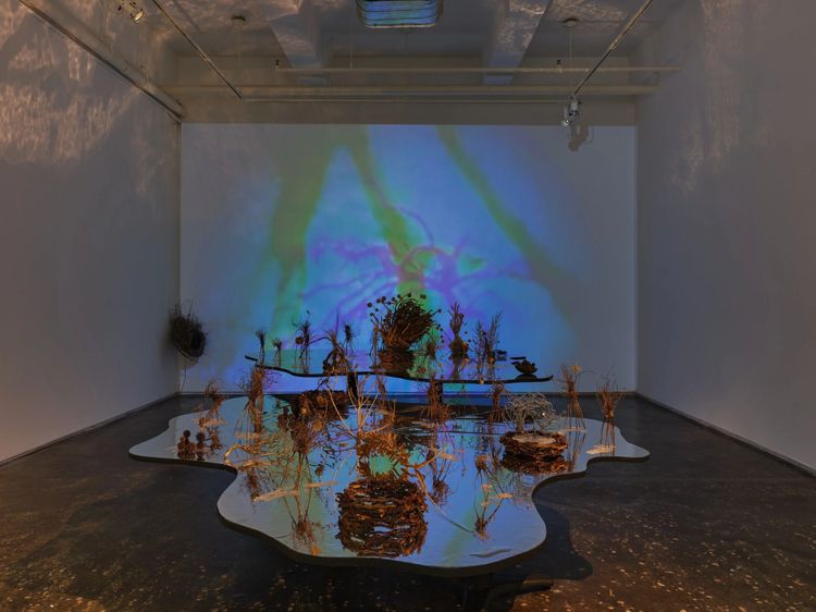 Installation view, The Banshees and Their Fairy Friends in the Shadow Forest, AIR