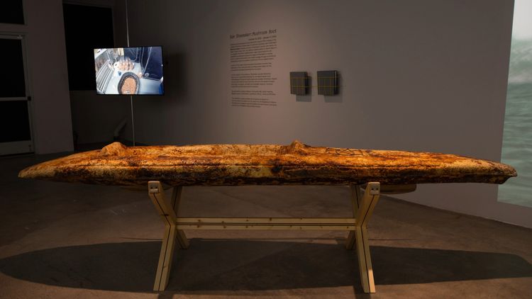 Installation view, Mushroom Boat, Fulcrum Arts · 2025 (3)