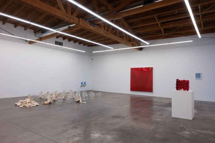 Installation view, Cockeyed, Shoshana Wayne Gallery · 2026 (5)