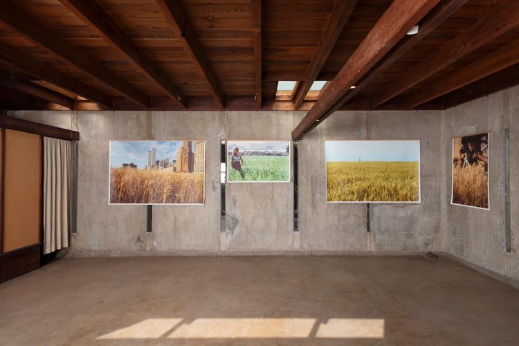Installation view, The Future is Fragile, MAK Center for Art and Architecture at the Schindler House · 2025 (14)