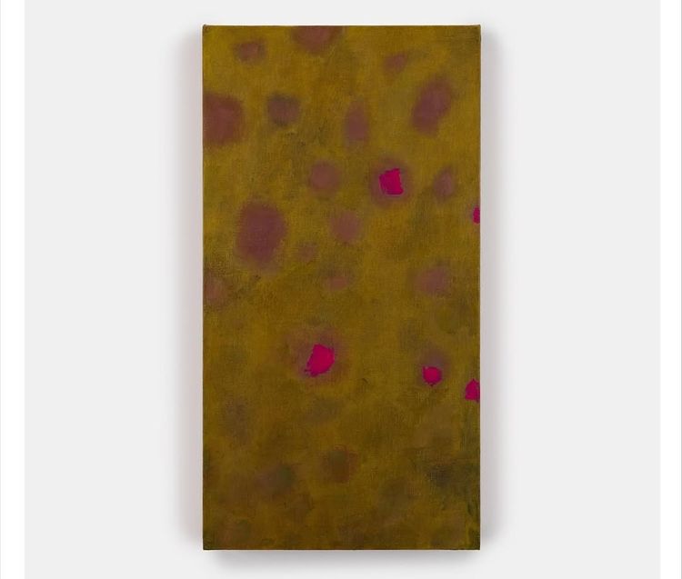 Installation view, Cathected, Ghost Machine · 2025 (2)