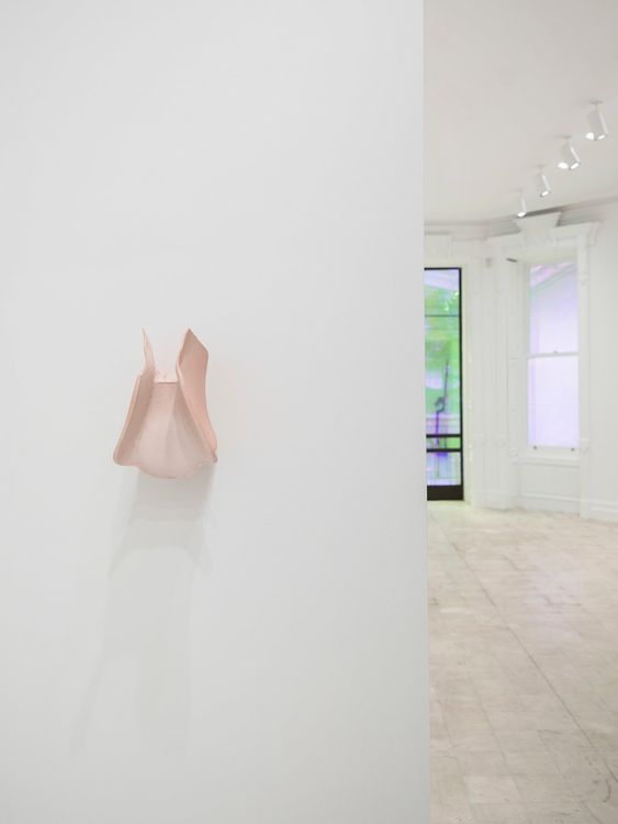 Installation view, Beast in Both Palms, Gladstone Gallery, 130 E 64th Street · 2026 (1)