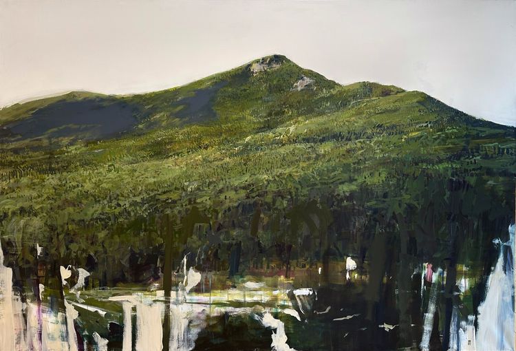 Installation view, Field Trip, Dolby Chadwick Gallery · 2025 (11)