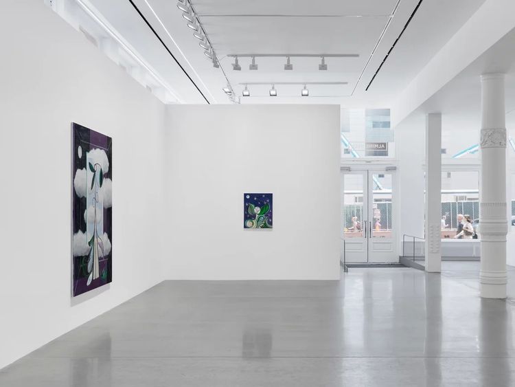 Installation view, Metamorphosis, Almine Rech, Tribeca · 2026 (19)