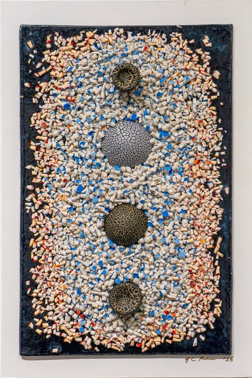 Installation view, Temporal Being: Nature vs. Human, Shatto Gallery · 2026 (24)