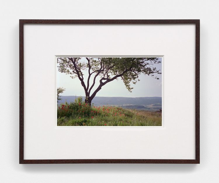 Installation view, Bones in the Canal and Other Photographs, David Kordansky Gallery, Chelsea · 2026 (35)