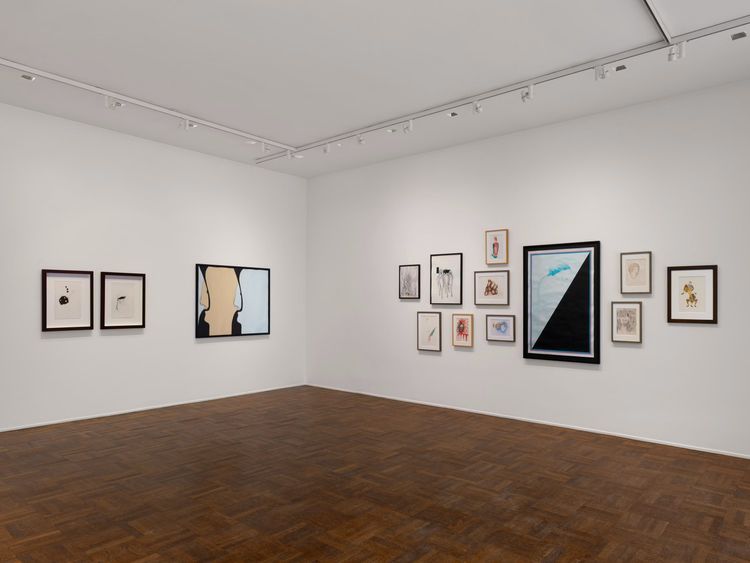 Installation view, Works on Paper: 1995–2026, VeneKlasen · 2026 (6)