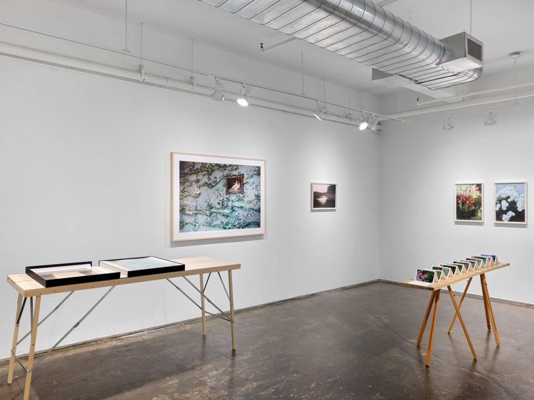 Installation view, Once Again I Fall Into My Feminine Ways, AIR · 2025 (7)