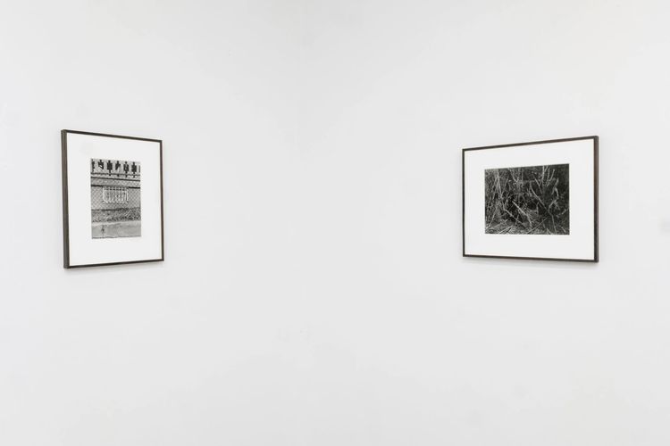 Installation view, Angle of Incidence, Transmitter · 2026 (8)