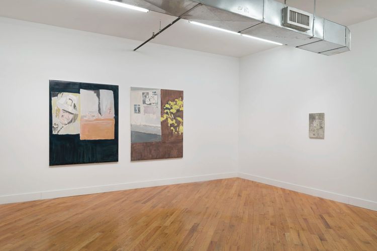 Installation view, A flower in the ending, David Peter Francis · 2026 (8)
