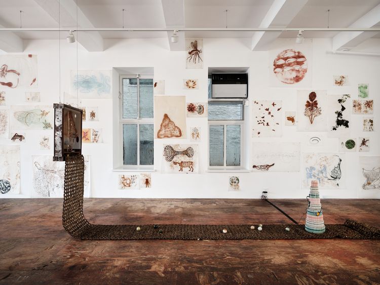 Installation view, Wake, mayfly…     , Kiang Malingue · 2026 (4)