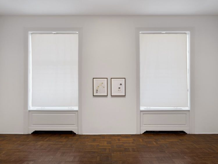 Installation view, Works on Paper: 1995–2026, VeneKlasen · 2026 (8)