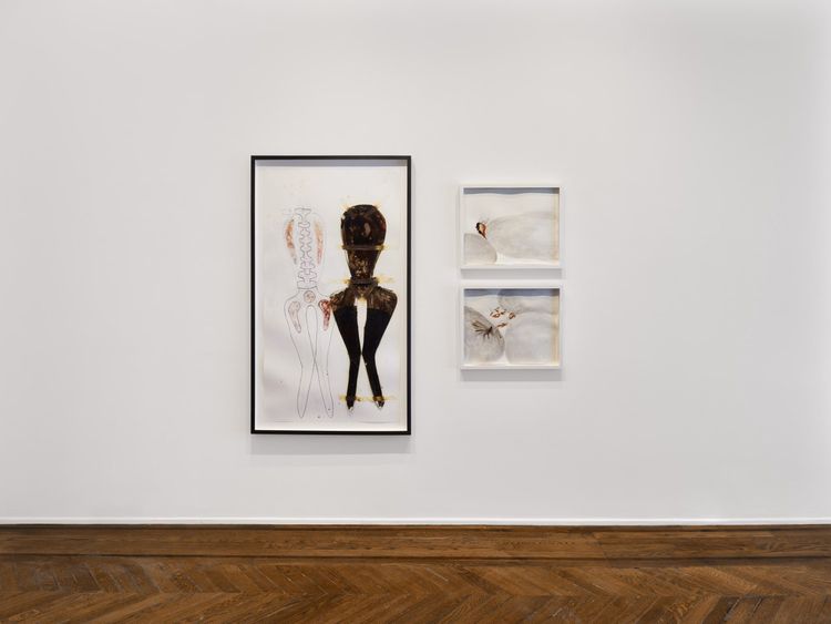 Installation view, Works on Paper: 1995–2026, VeneKlasen · 2026 (13)