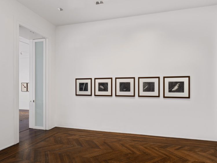Installation view, Works on Paper: 1995–2026, VeneKlasen · 2026 (10)