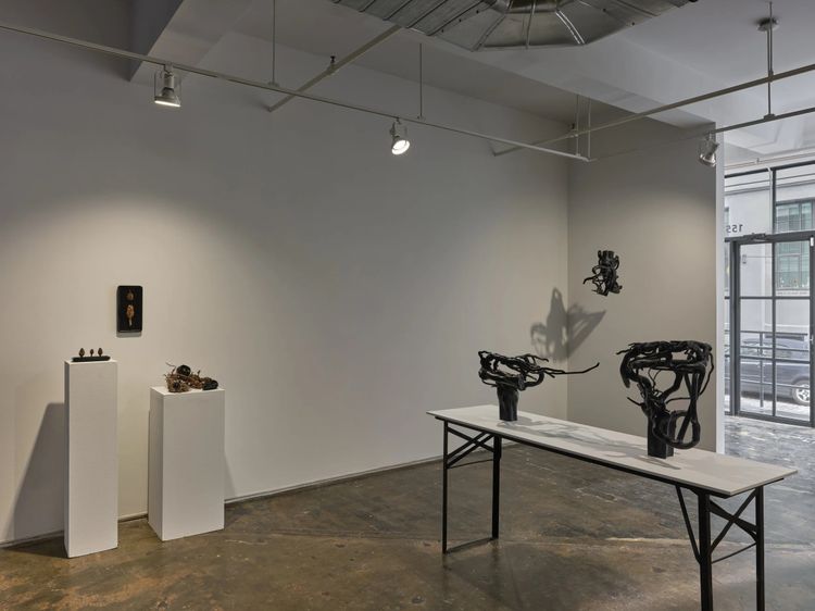 Installation view, The Banshees and Their Fairy Friends in the Shadow Forest, AIR · 2025 (3)