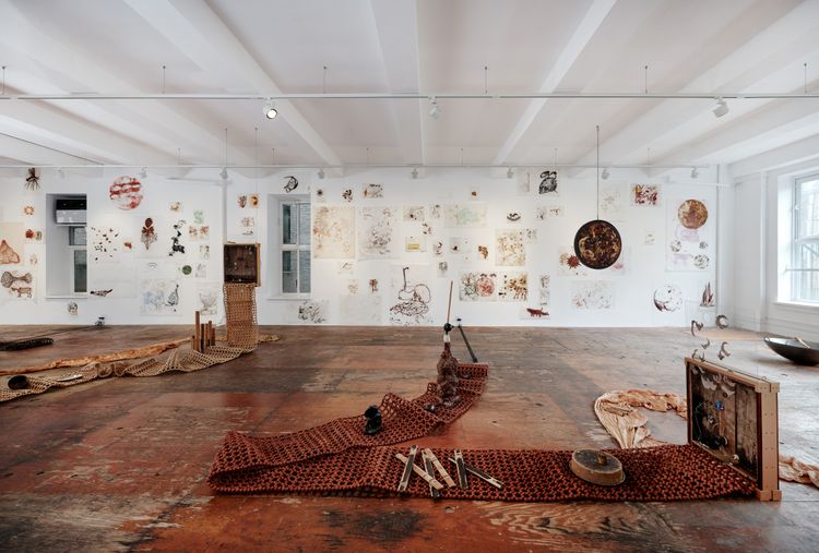 Installation view, Wake, mayfly…     , Kiang Malingue · 2026 (1)