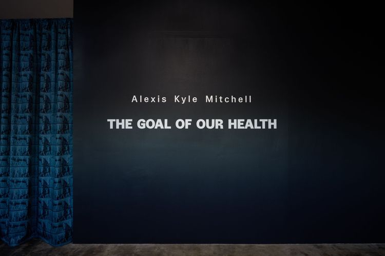 Installation view, The Goal of Our Health, Joan · 2025 (6)