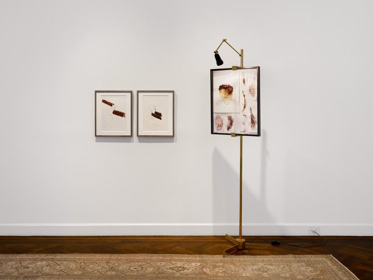 Installation view, Works on Paper: 1995–2026, VeneKlasen · 2026 (5)
