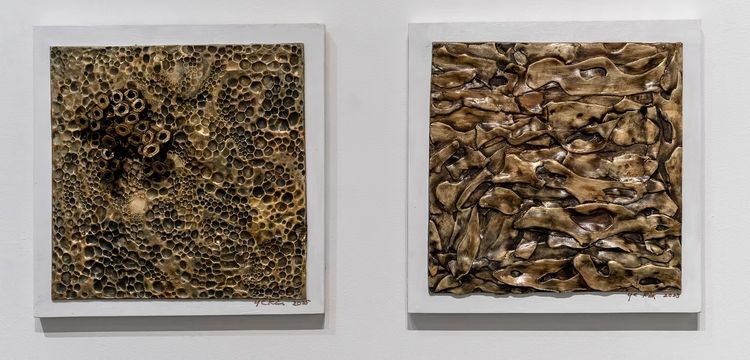 Installation view, Temporal Being: Nature vs. Human, Shatto Gallery · 2026 (15)