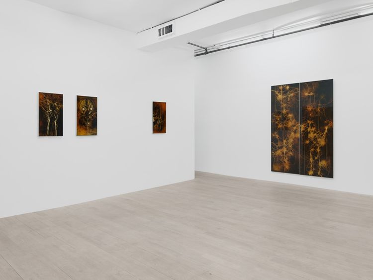Installation view, Außerkörperliche Erfahrung: Wandering Spirit, Management · 2026 (2)