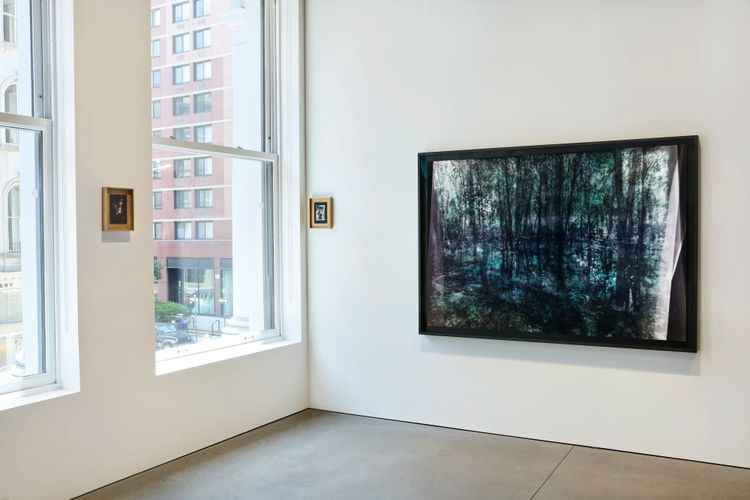 Installation view, On an Overgrown Path, Marian Goodman, New York · 2026 (19)
