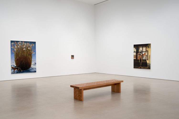 Installation view, Transit of Venus, Petzel Gallery