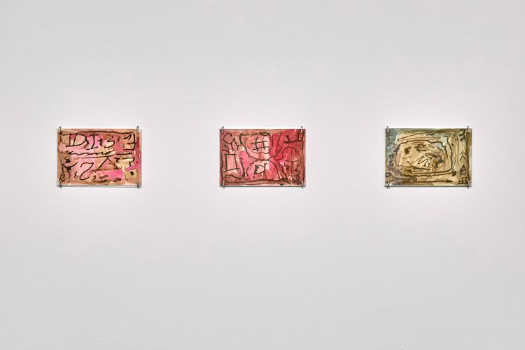 Installation view, Ama Birch, White Columns · 2025 (3)