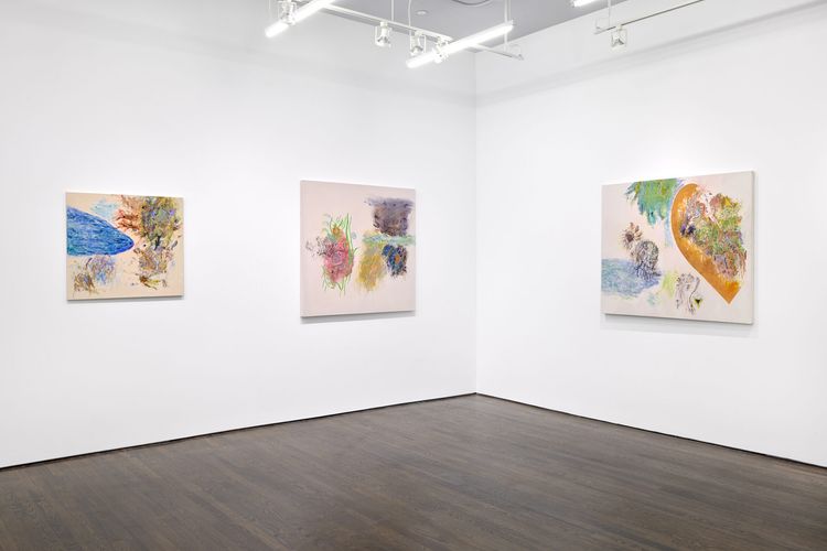 Installation view, Goran Medak, White Columns · 2026 (3)